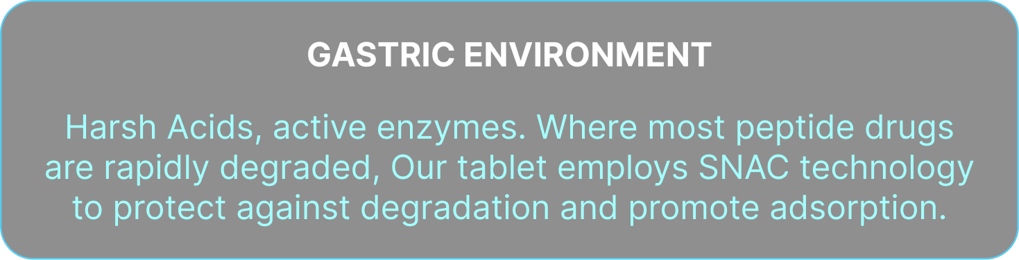 environment text